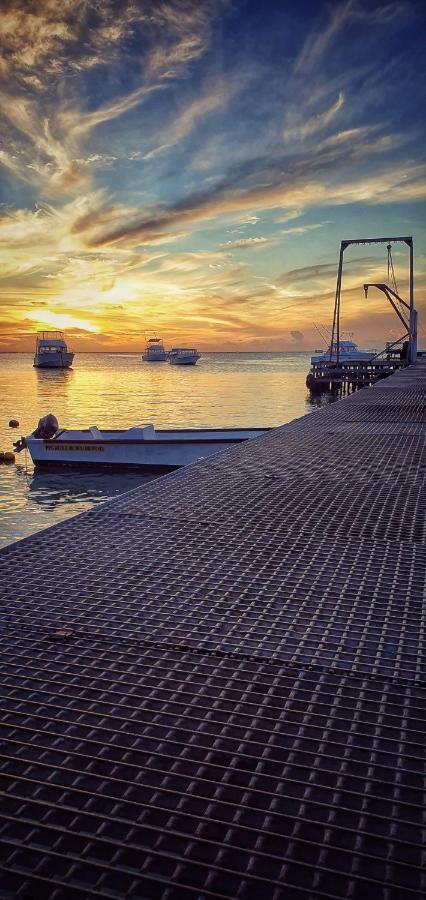 Abrico Apartment Trou aux Biches Dış mekan fotoğraf